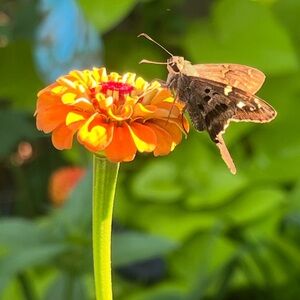 Meet your Posher, Rebecca